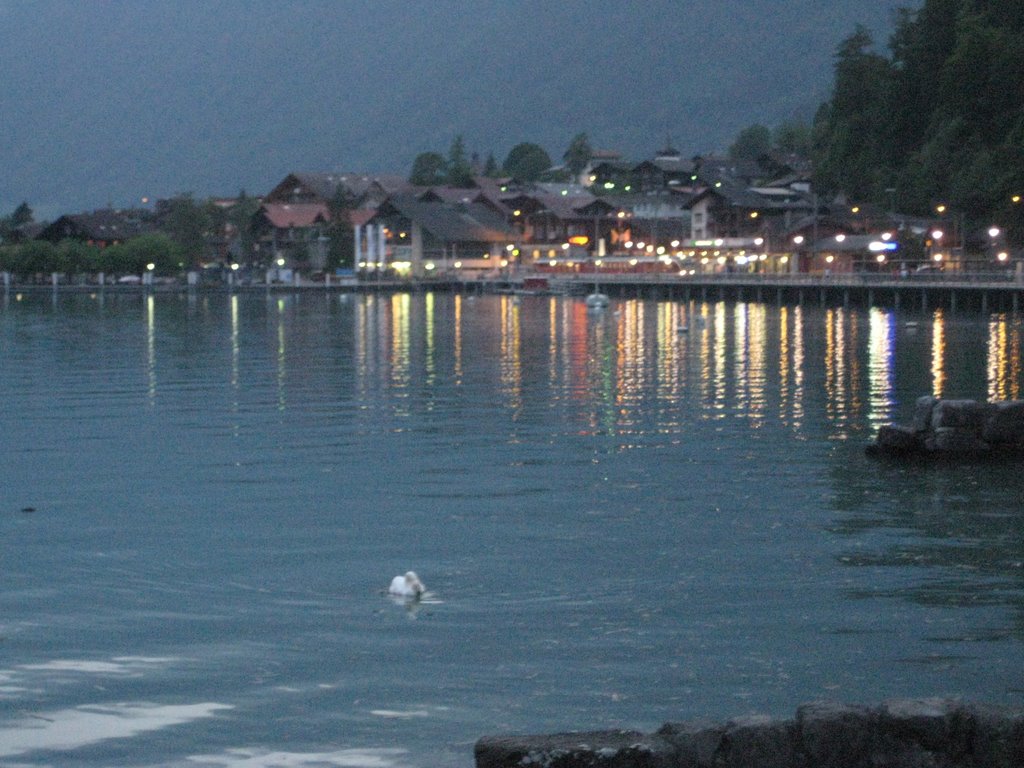 Brienz evening lights by travellingslowly