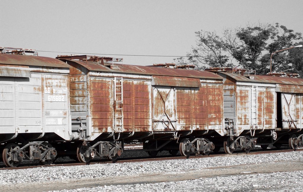 Vagones Oxidados (Rusty Wagons) by Diego P. Canossa