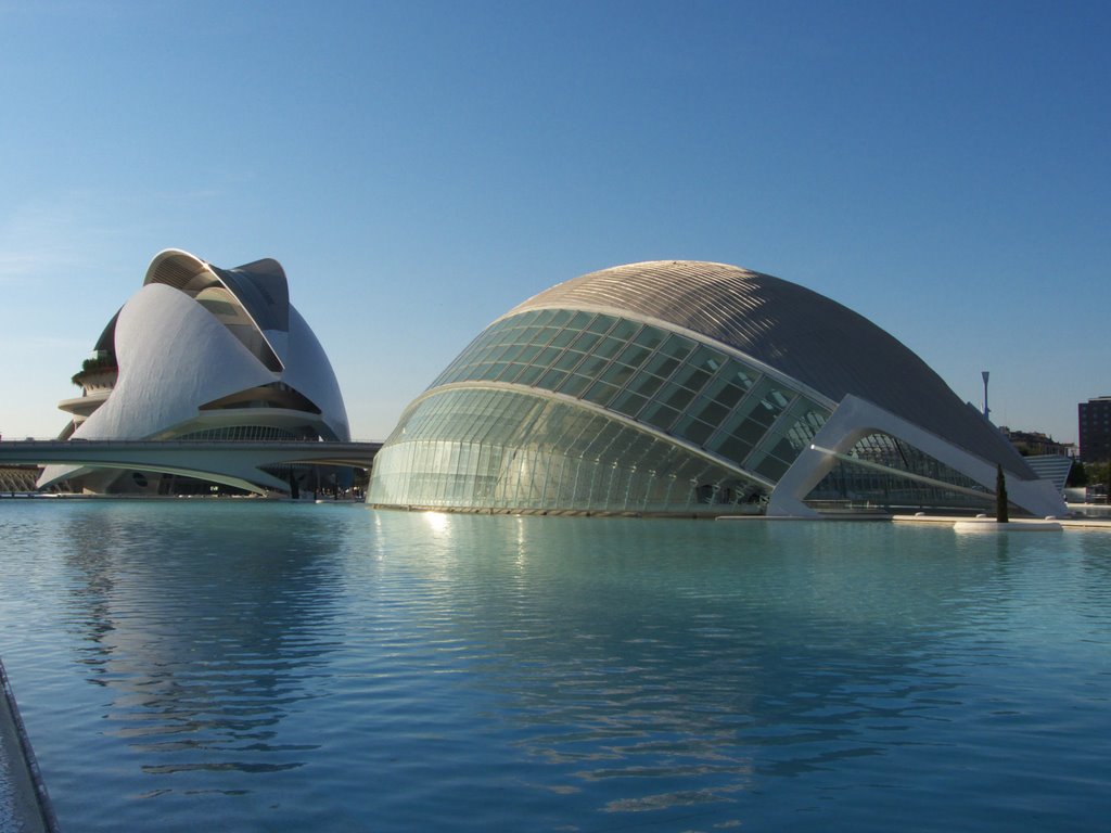 Ciudad de las Artes y las Ciencias by Manuel Hernández Laf…