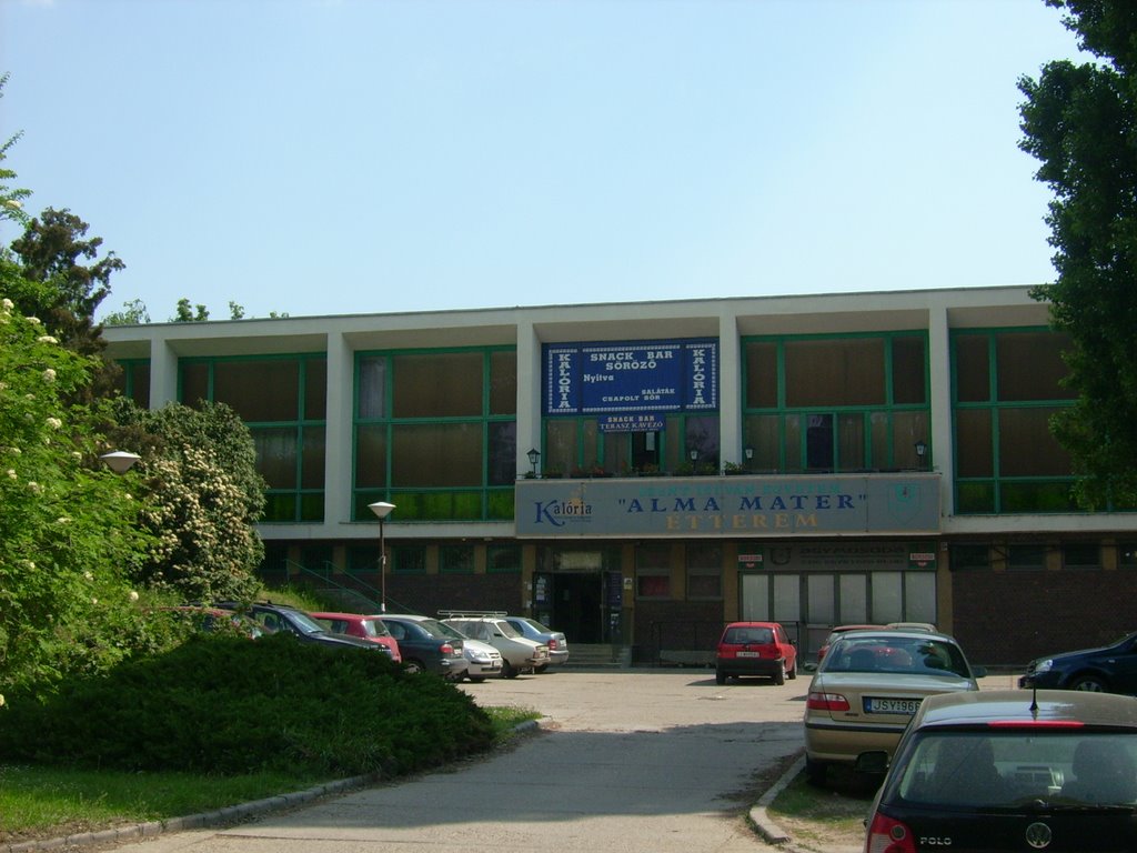 Alma Mater a SzIE Menzája (Students' cafeteria) by Bárdos László