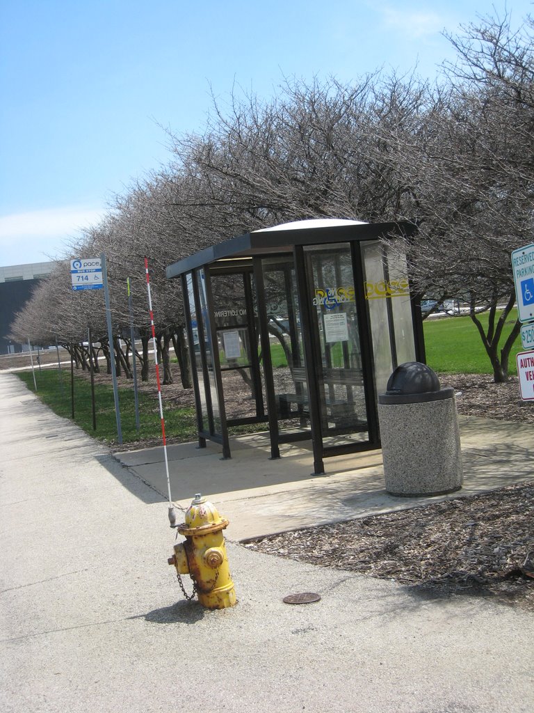 Bus Stop by bhadley88