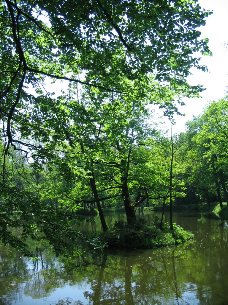 Głogówek Park by Kaska