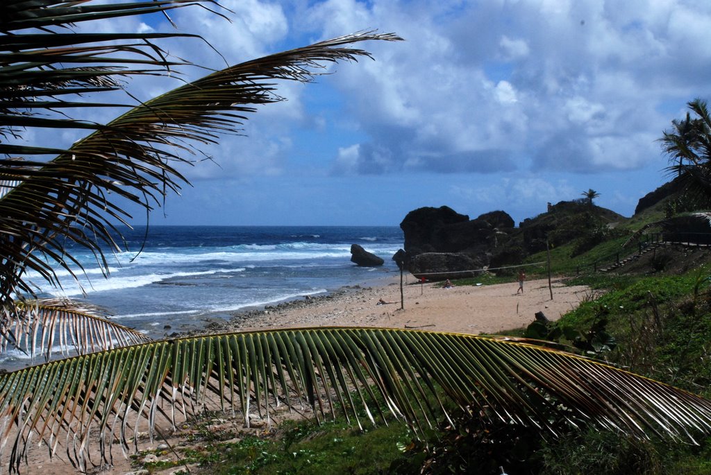 Barbados by Niek Saal