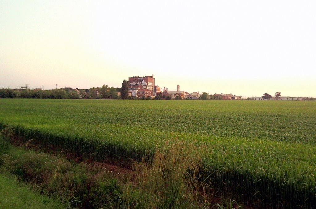 Lo stabilimento di Sanguinetto da Via Barbere (05.2009) by altodigamma