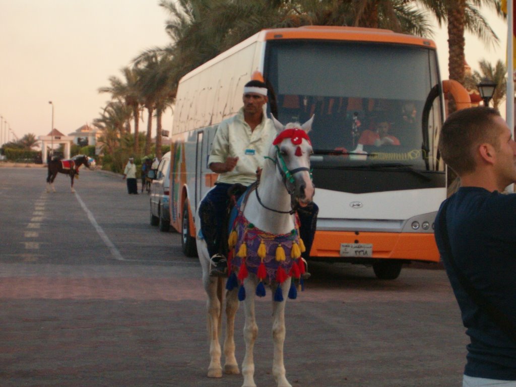 SHARM EL SHEJKH by aleblondy