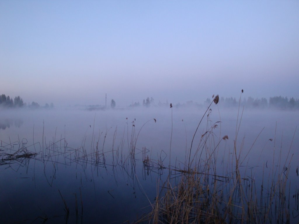 Early spring morning by ainars brūvelis