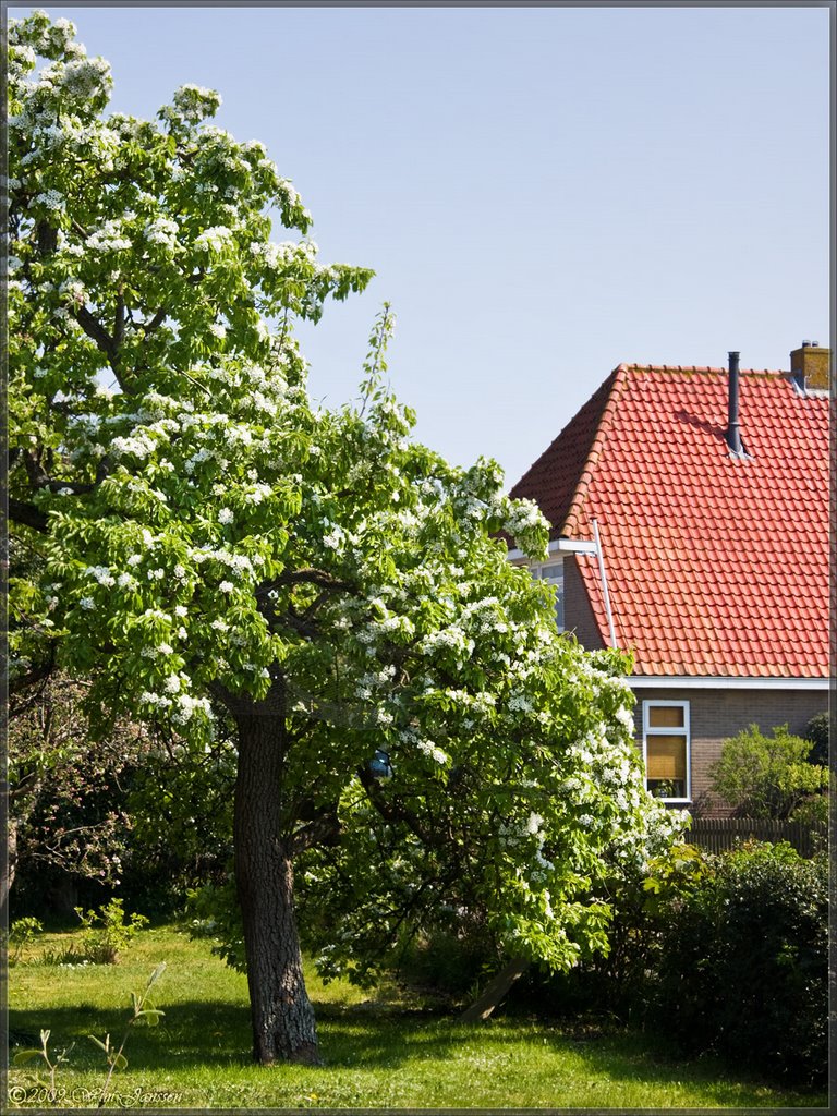 Hoorn, Terschelling by Green Knee