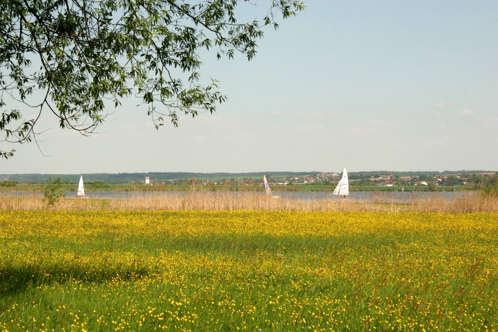 Vilstalsee mit Blick über die Vilswiesen auf Reisbach und Reith by Horst Kunz