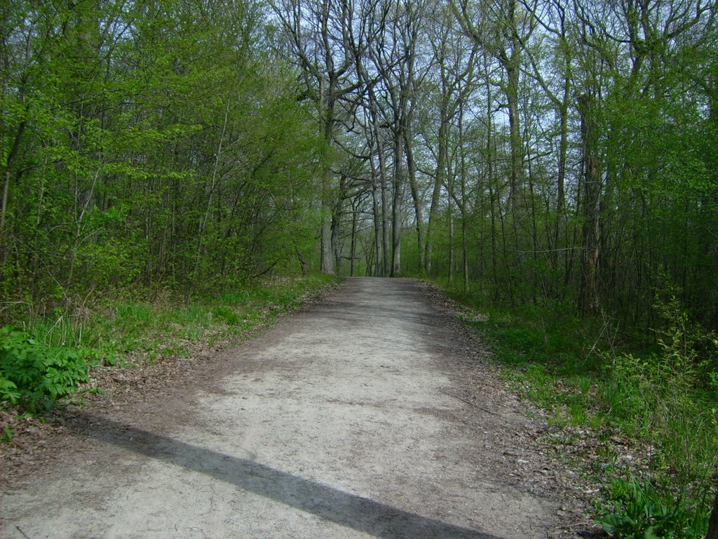 Forest path by tals1202