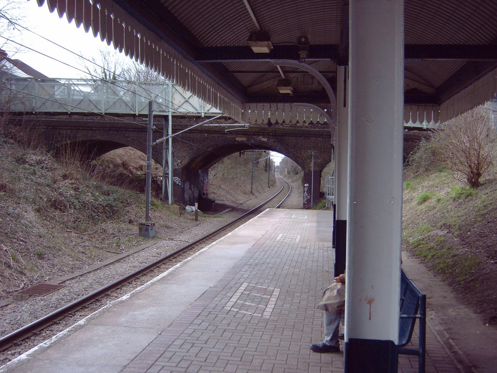 Looking Towards Romford by Rogue T Cat