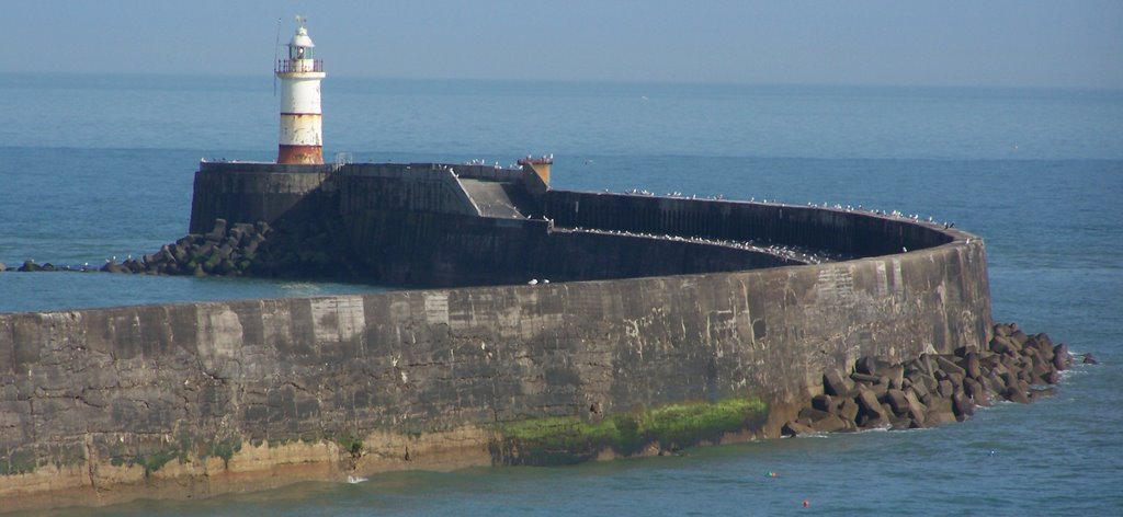 Newhaven Lighthouse by rcswebs