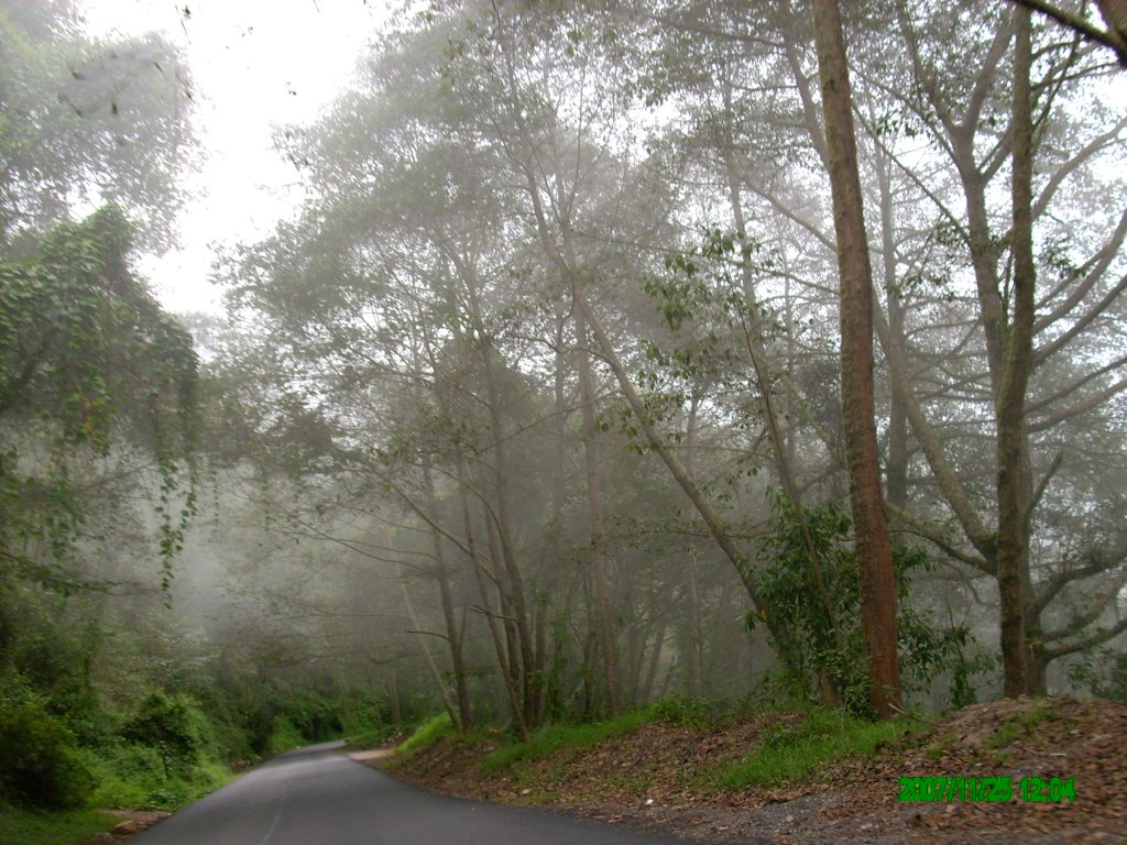 Carretera de Perez Zeledón a San José, Costa Rica by Magaly Rojas Méndez