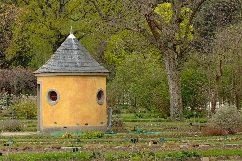 Jardin des Plantes by brangal