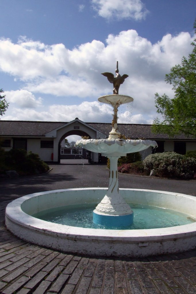 Irish National Stud - fountain by kostek1981