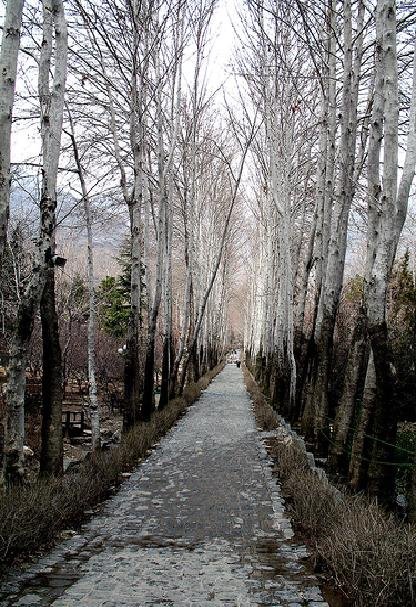 Jamshidieh Park, Tehran پارک جمشیدیه-پاییز درختان by Mahdi Kalhor