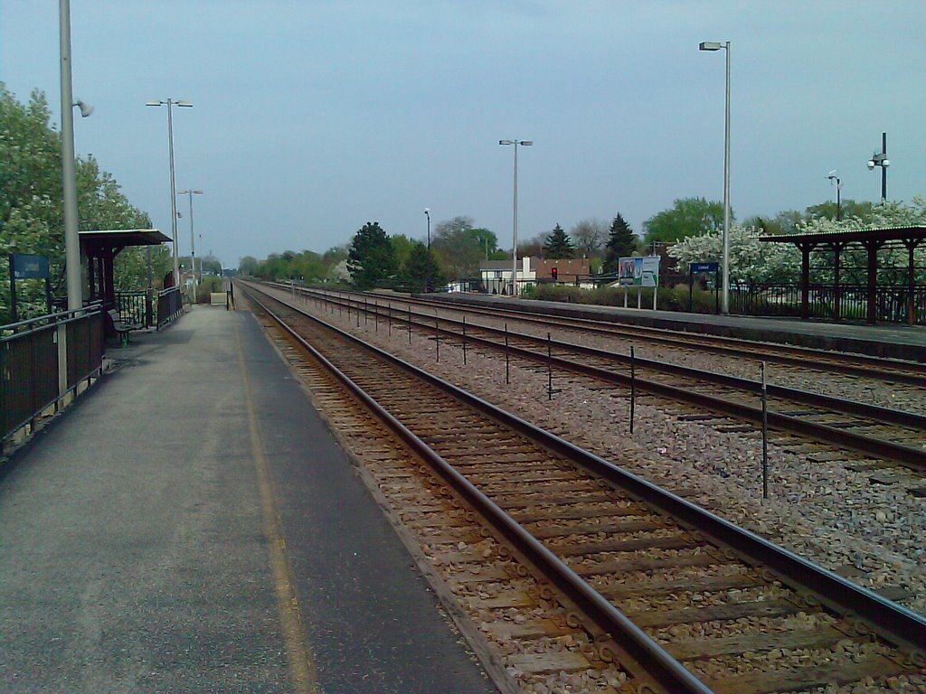 Train tracks by rossman8