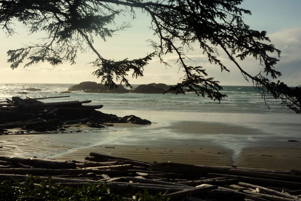 Pacific Rim National Park, Canada by yvr101