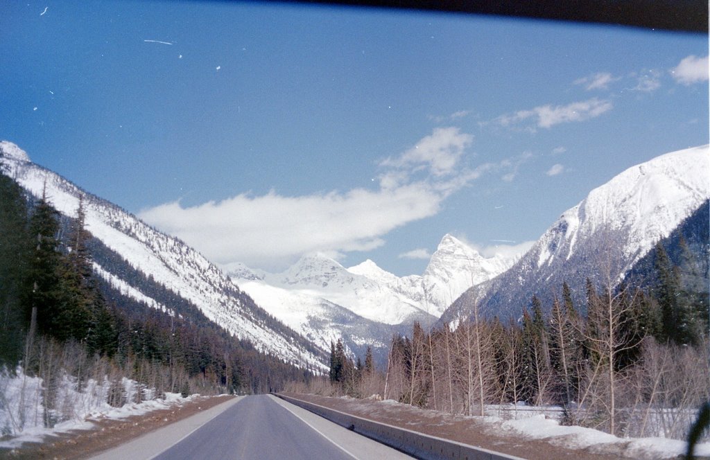 Canadian Rockies ,before the summit(resized from SLR neg.) by a3a35919