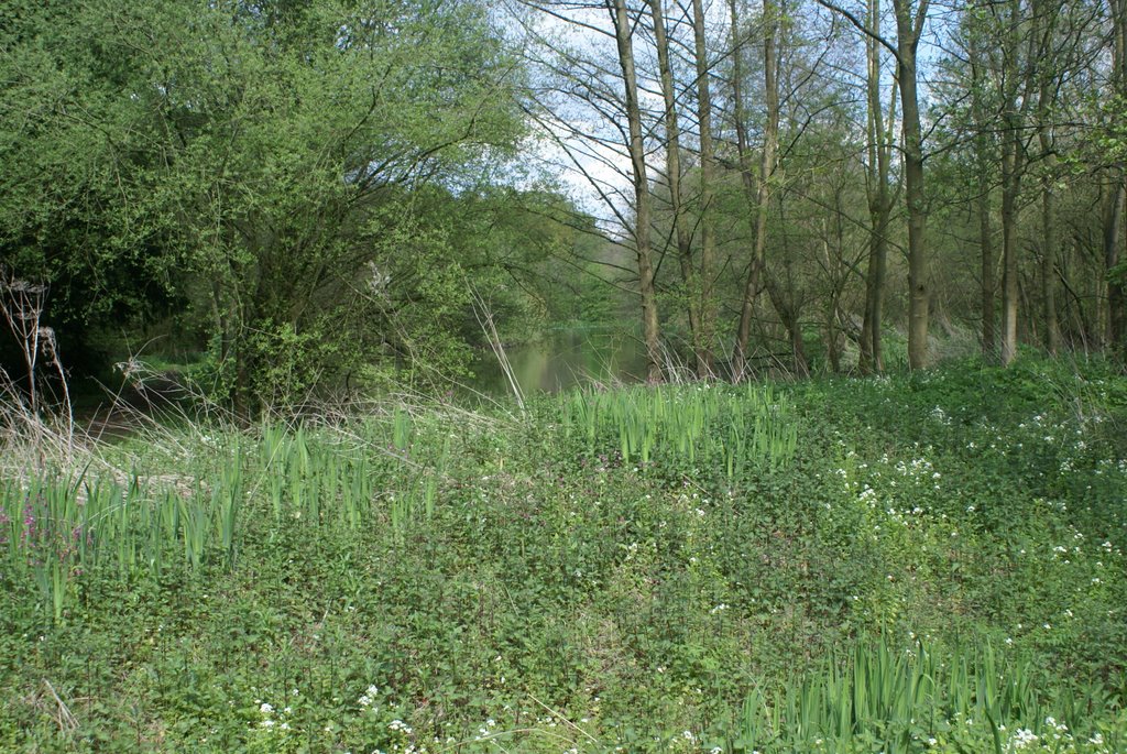 Countryside View by John Mulder