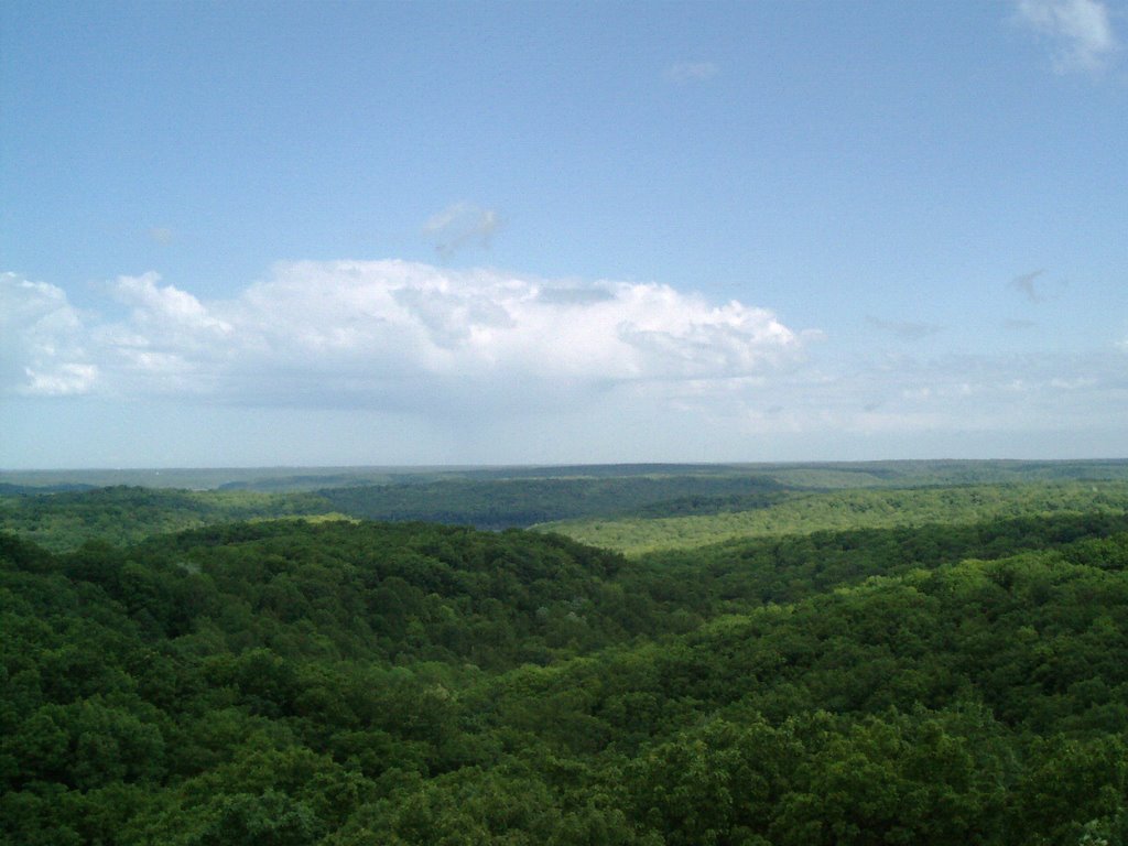 View from the Fire Tower by FunkeyMonk