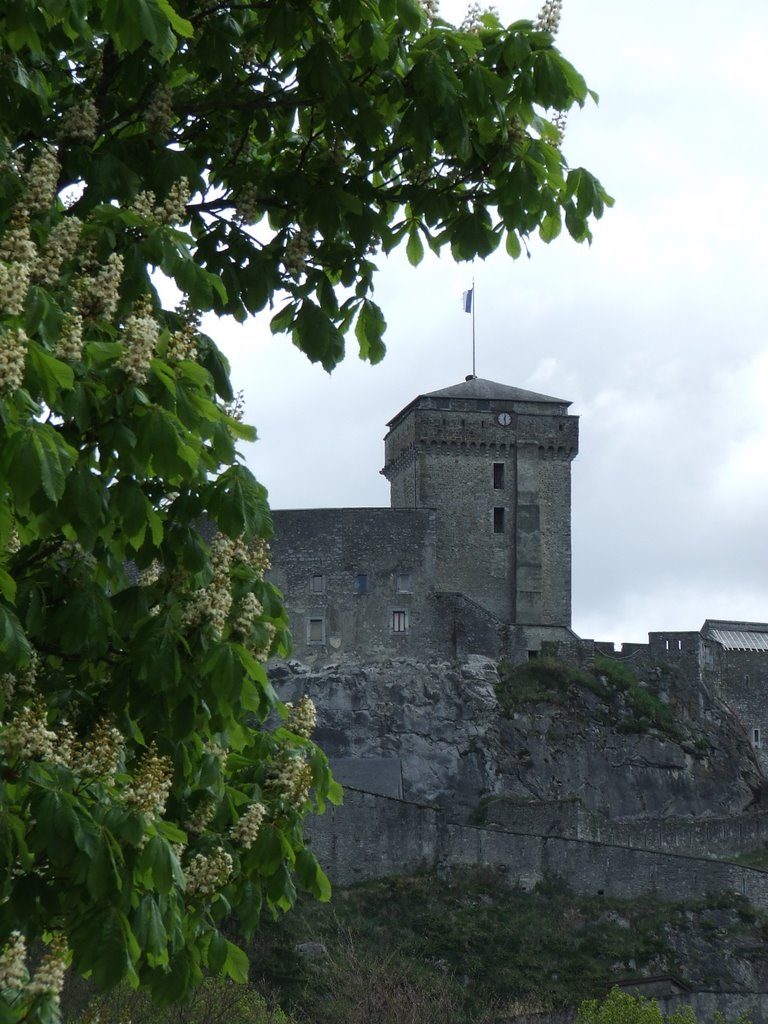 A view of Castle by bobbyfrombearsden