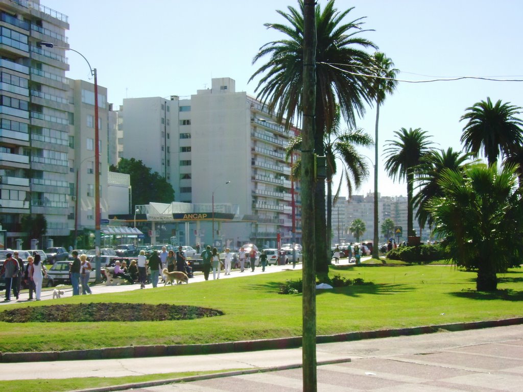 Rambla Trouville-Montevideo by manguz