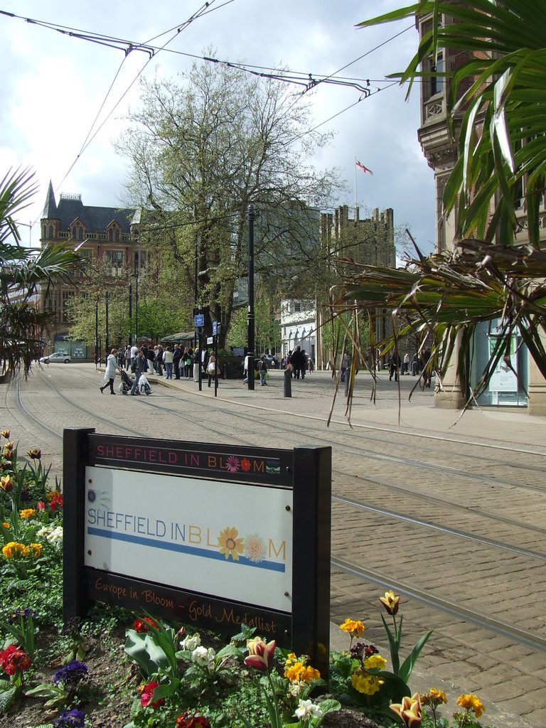 Sheffield In Bloom by bobbyfrombearsden