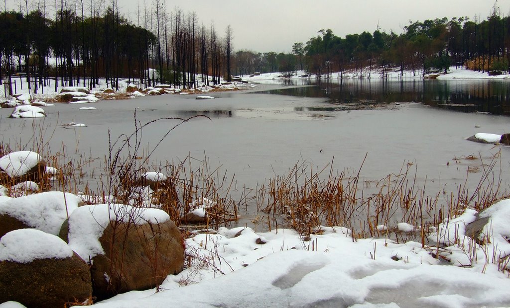 New Jiangwan wetland after snow showers by Moqing Zhu