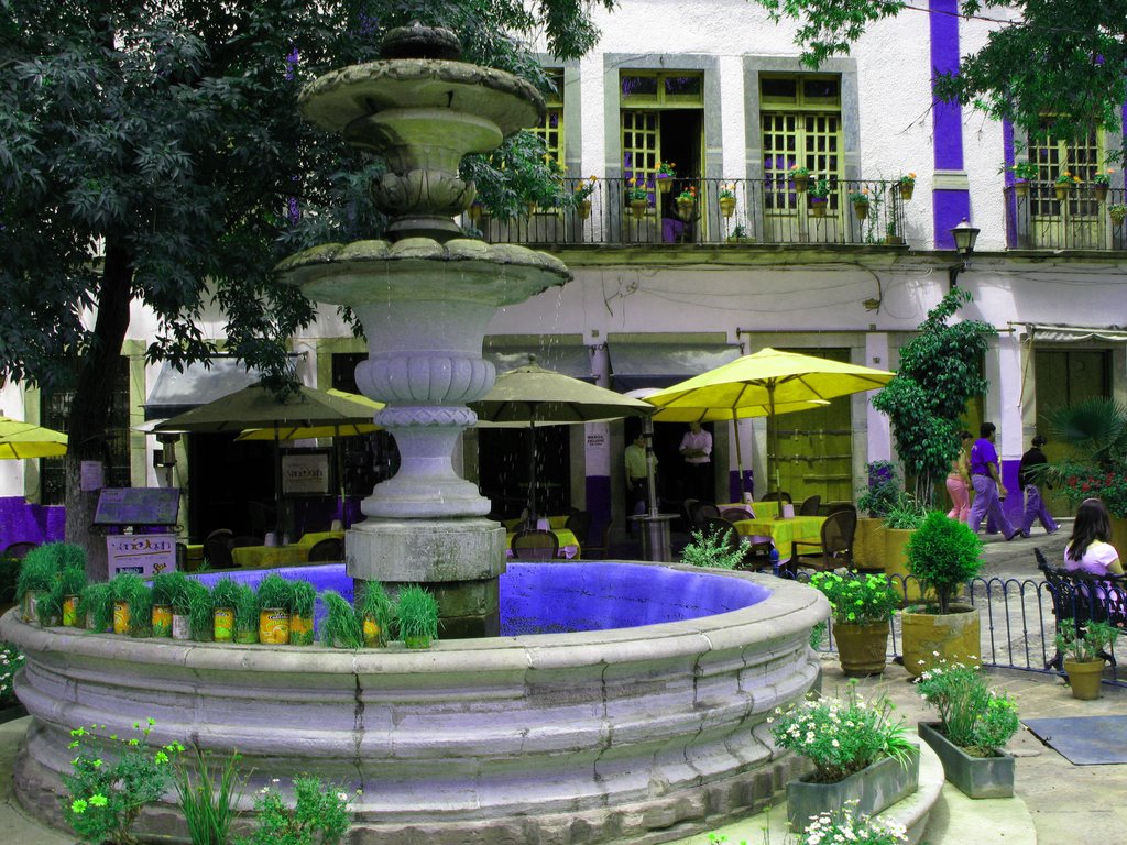 FUENTE PLAZA SAN FERNANDO, CIUDAD DE GUANAJUATO by josuerq