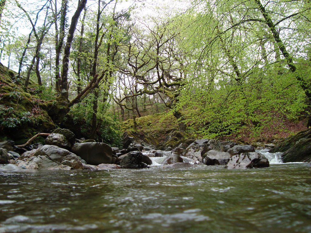 Stream walking in North Wales! by MiKxItUp