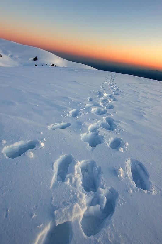 Walking Through Colors - Monte Grappa by Enrico Grotto