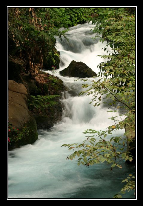 Rio Cupatitzio Cupatitzio River by J.Ernesto Ortiz Razo