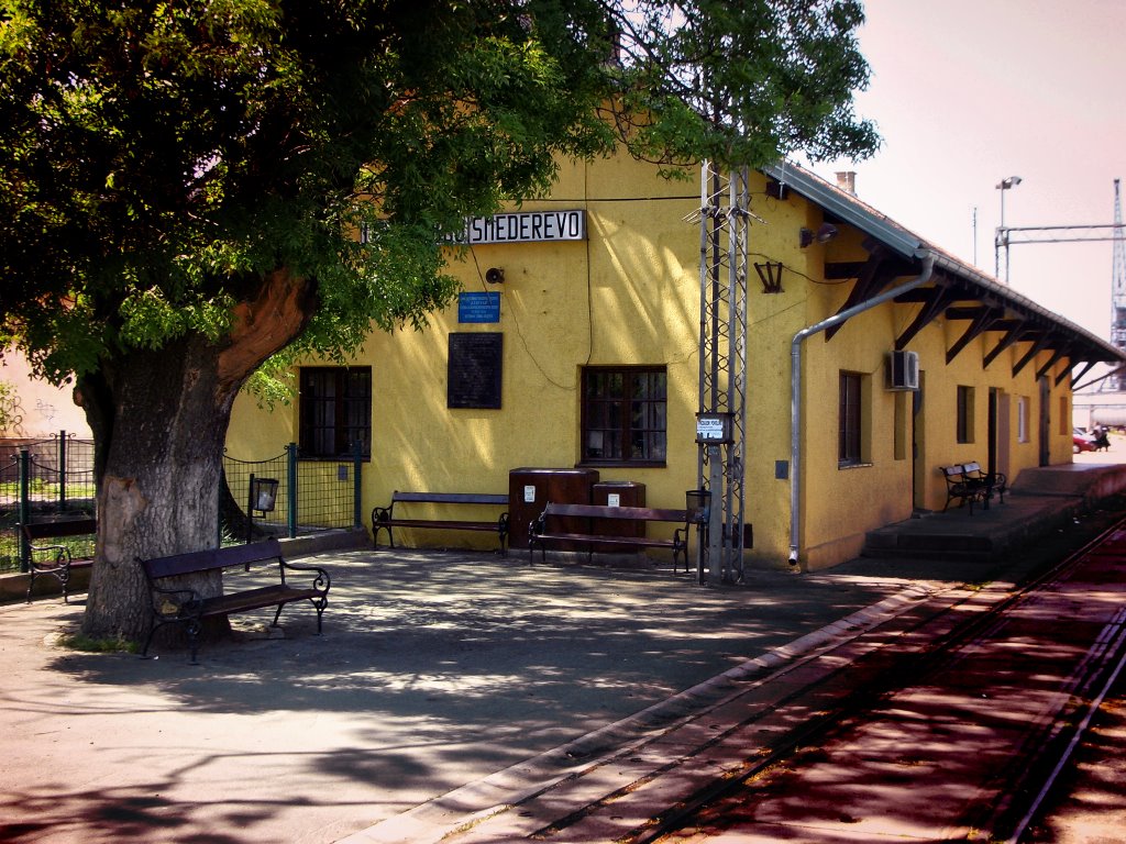 Train station by *goran