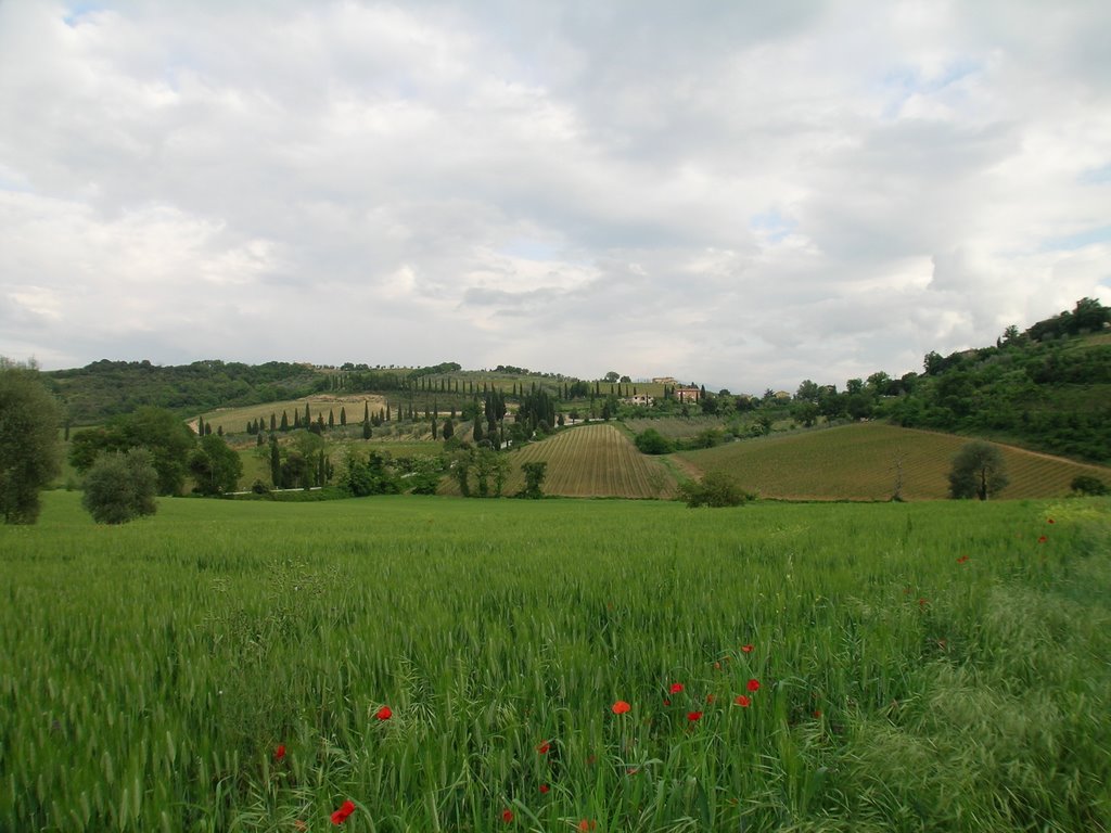 Val d'Orcia by Angelo Orlando