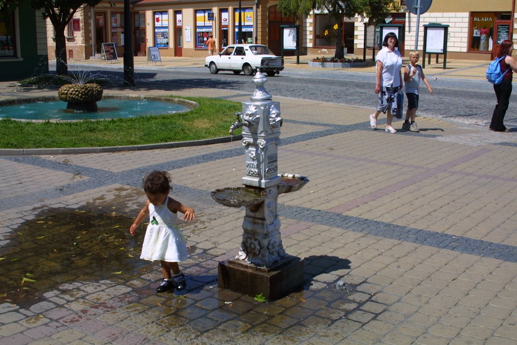 Brunnen in Zatec (Tschechien) by Detlef Scheibe