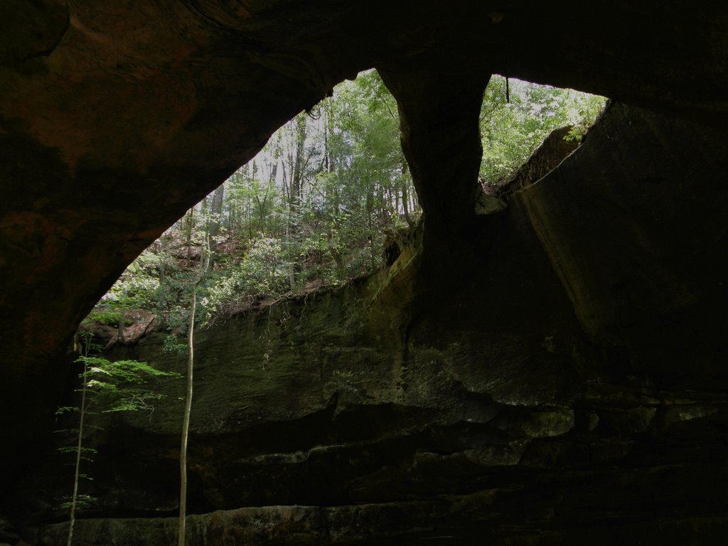 Beneath the natural bridge by Marilyn Whiteley