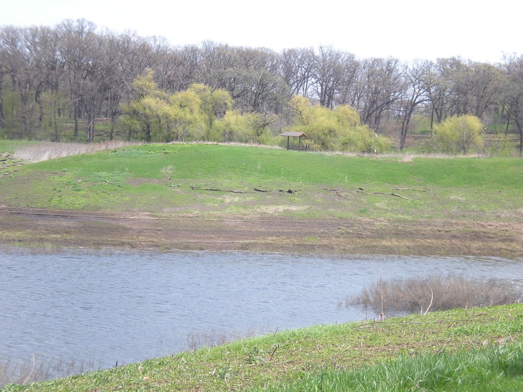 Meacham Grove Forest Preserve(Bloomingdale,IL)-East Side by JanaCarnalla