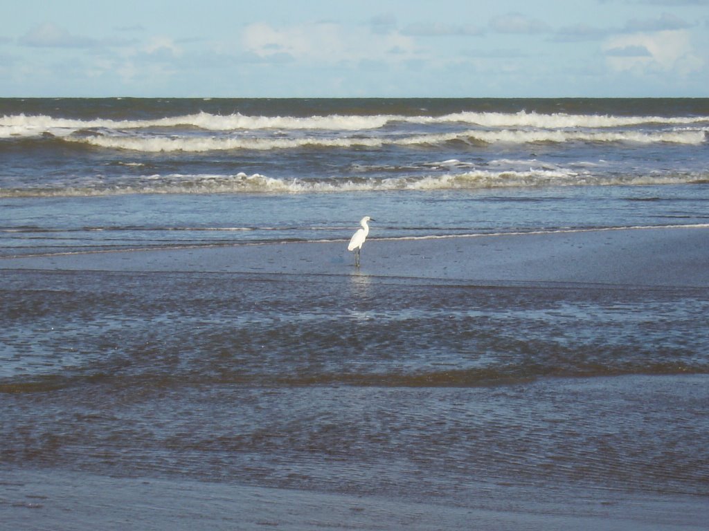 Praia da Barra by sheilinha