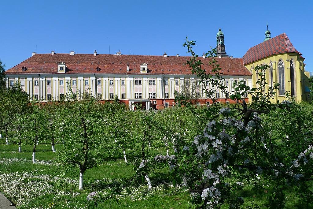 Trzebnica klasztor Sióstr Boromeuszek by rahattan