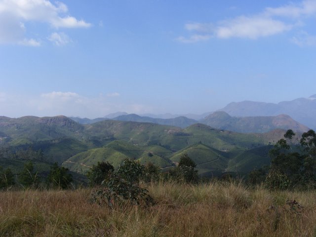 Munnar by vicysem