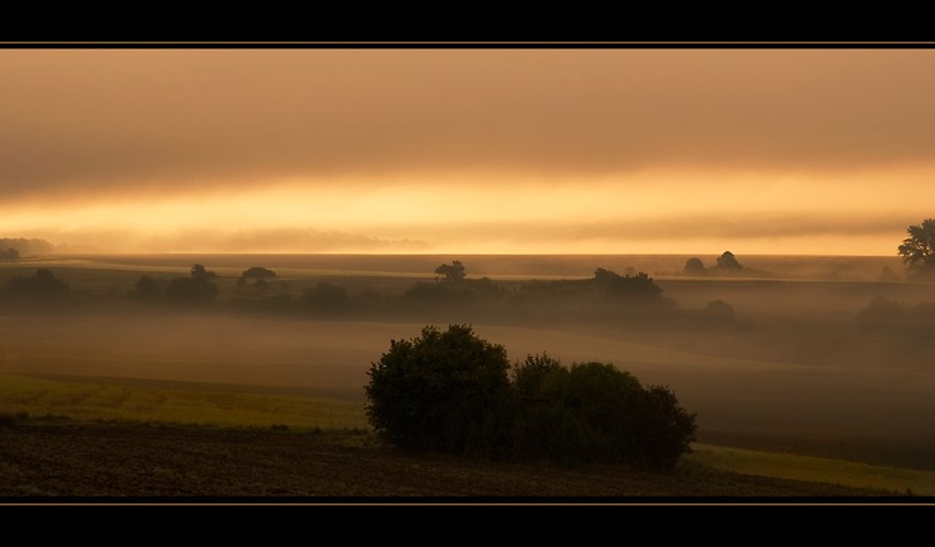 Morgennebel by Karl-Heinz Bitter