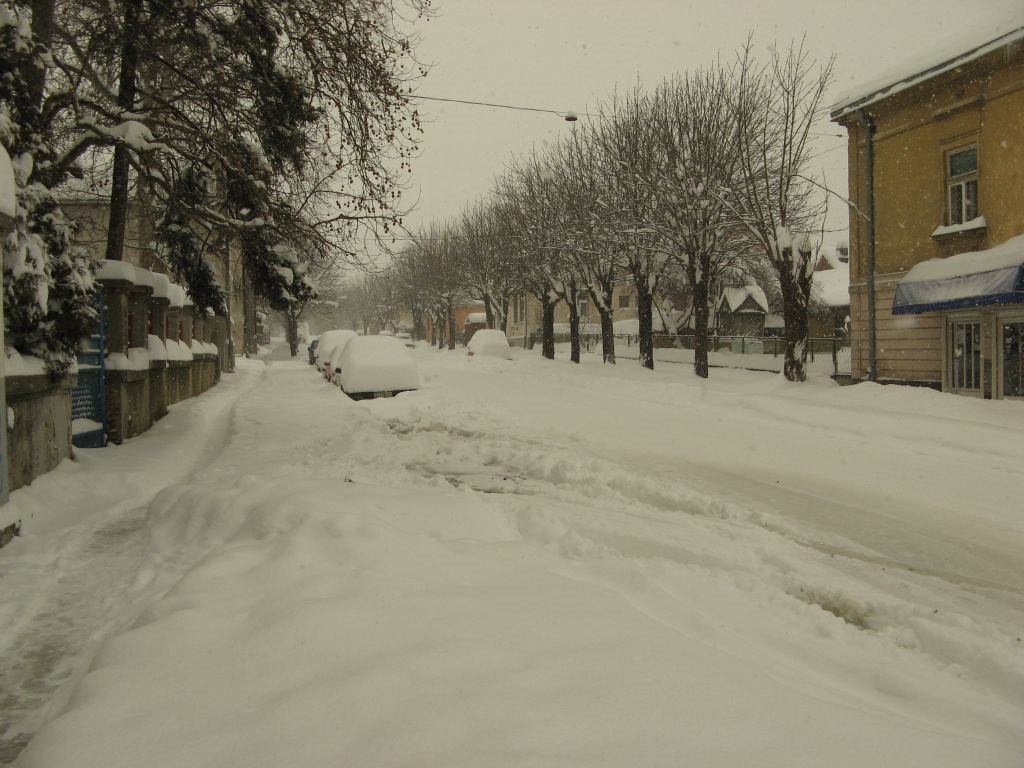 Smederevska Palanka, ulica 10. Oktobra, zima by Dejan Kovačević