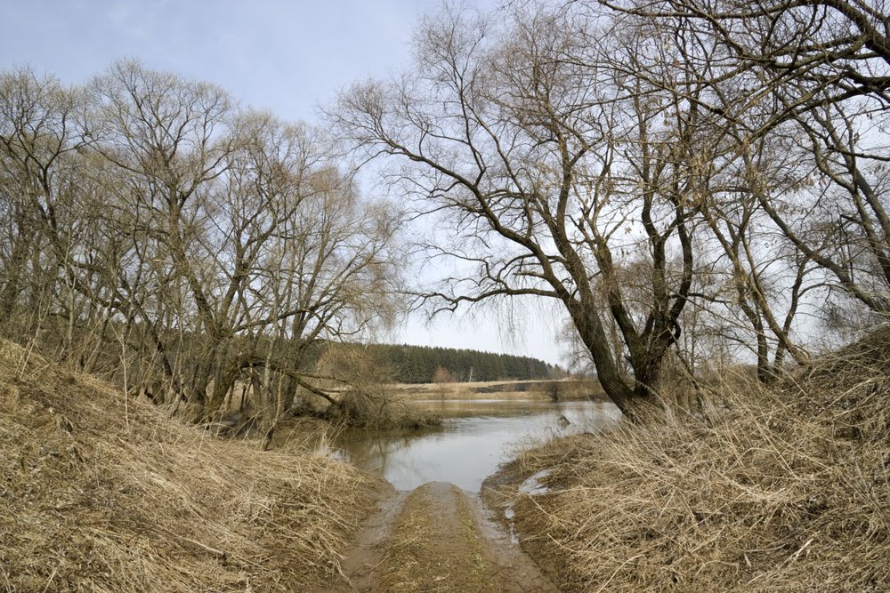 High Water r.Protva April 2009 by Andrey Gnusin