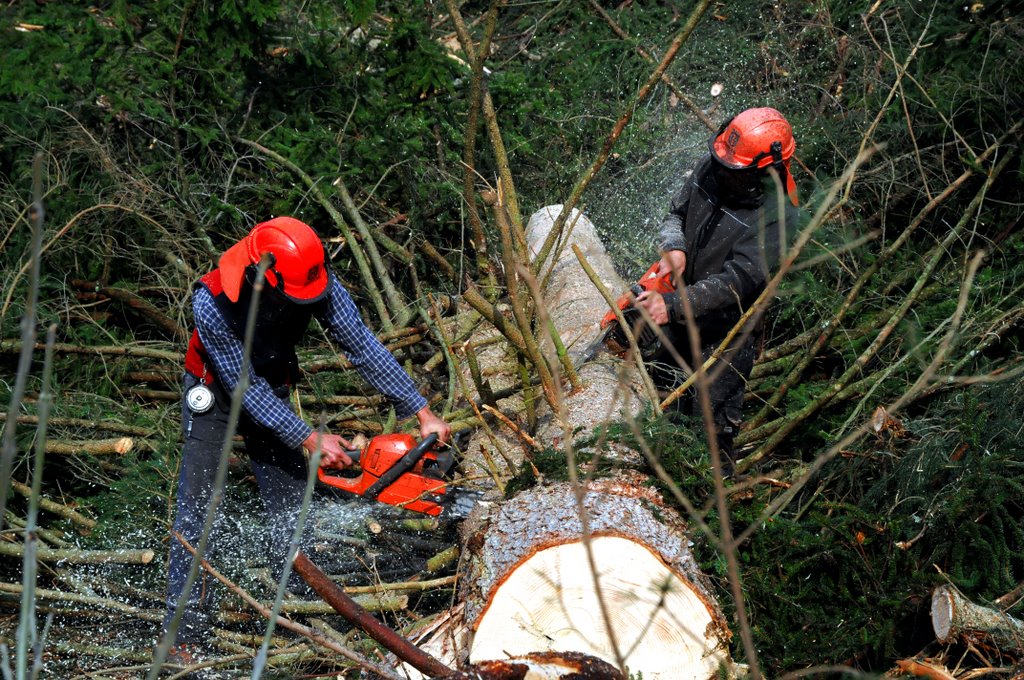 Jo mir san die luschtigen Holzhackerbuam' - Oberjoch, Gebirgs-Holzar am Jochpass by erlebnis-foto.de