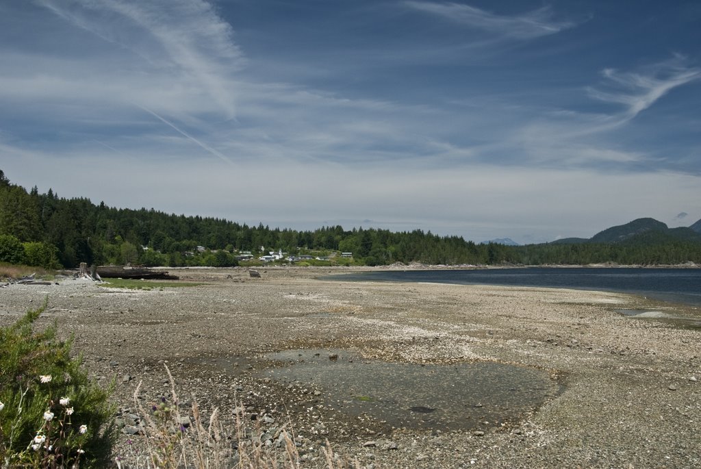 Low Tide Squirrel Cove 4 by Georgia  Combes