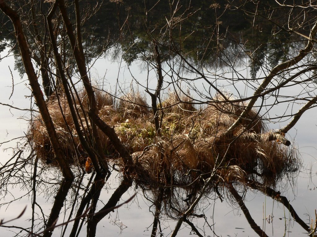 Very small island in lake by thor☼odin™