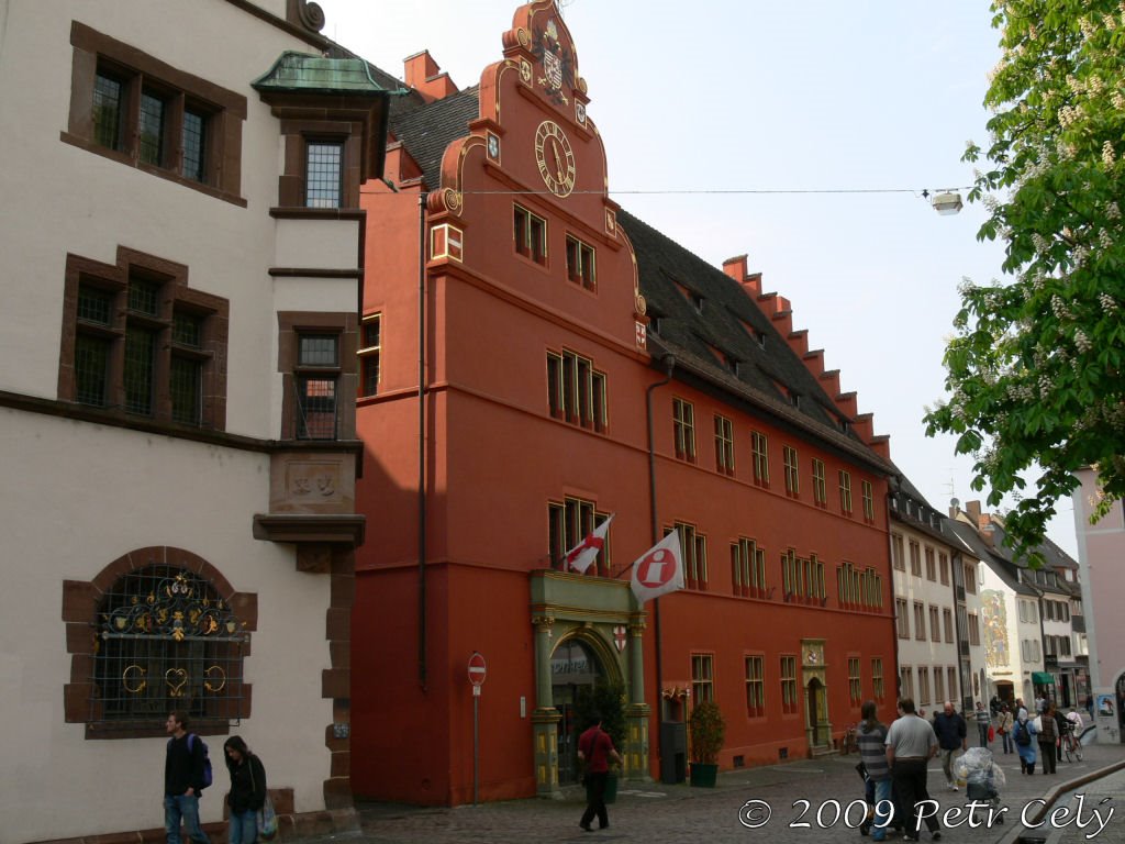 Freiburg im Breisgau by Petr Celý