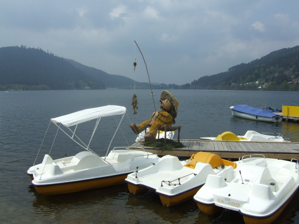 Lac de gerardmer by helena banos