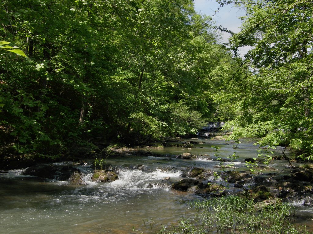 Mill Stream by Marilyn Whiteley