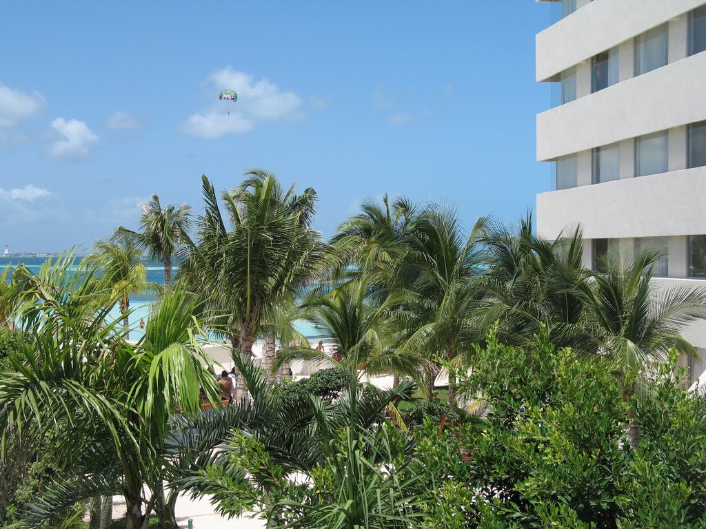 Palm Trees at Oasis by PeNtAs